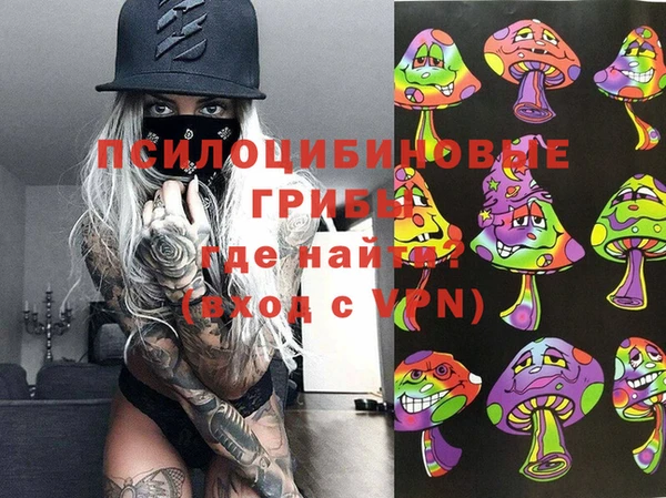 мяу мяу мука Абинск