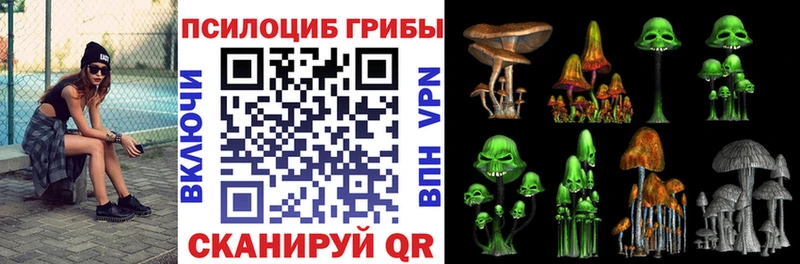 сколько стоит  OMG вход  Галлюциногенные грибы GOLDEN TEACHER  Отрадное 
